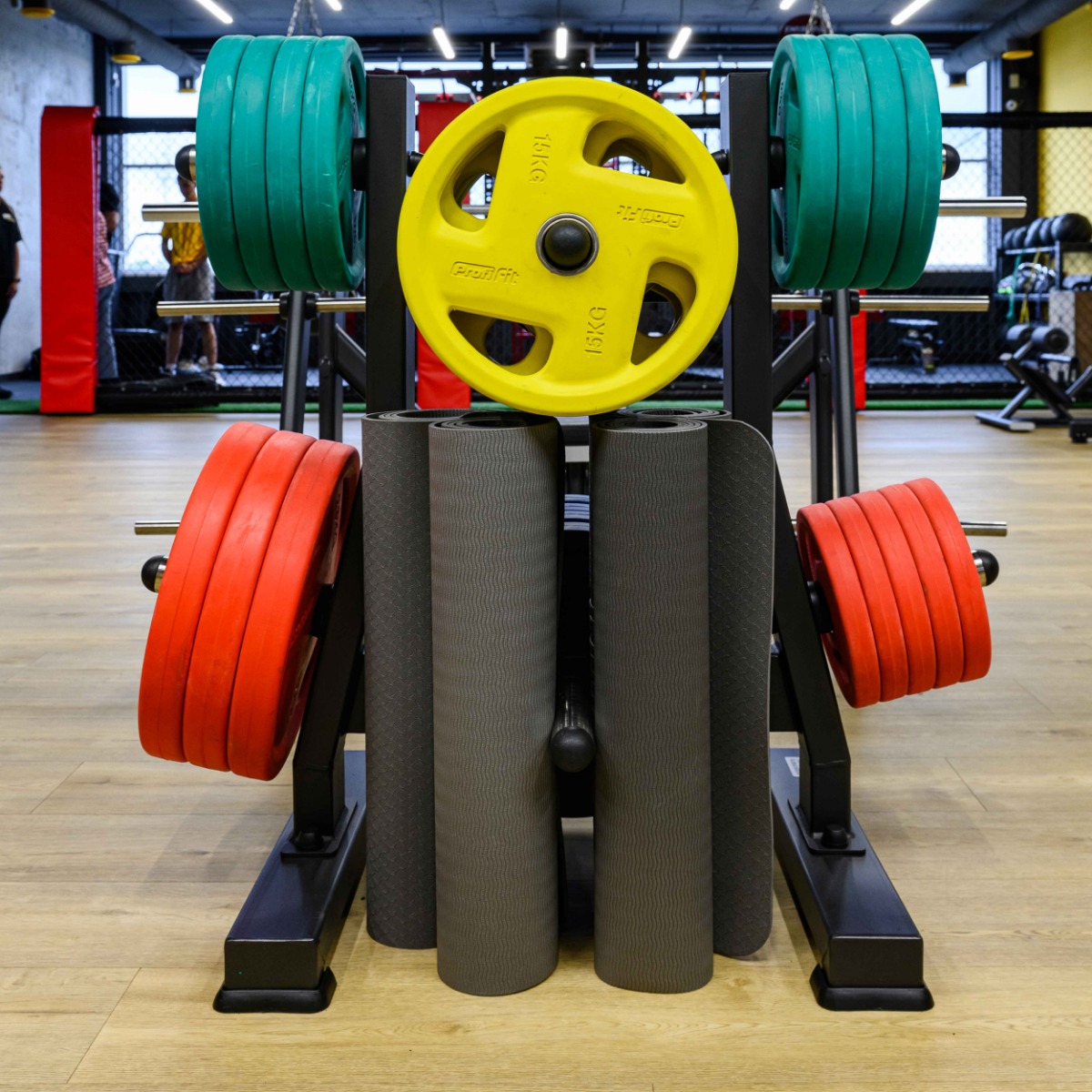 Диск обрезиненный (четыре хвата, цветной) D51 мм PROFI-FIT 5 кг — изображение 4