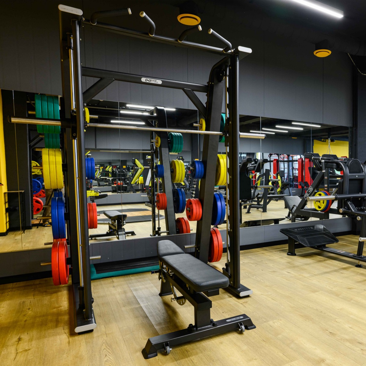 Диск обрезиненный (четыре хвата, цветной) D51 мм PROFI-FIT 5 кг — изображение 5