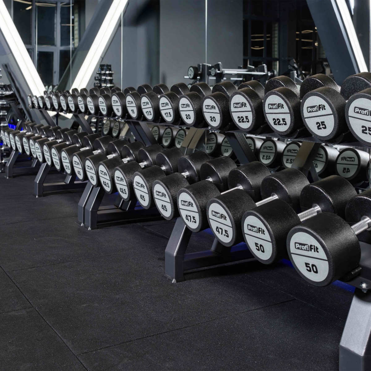 Гантель полиуретановая PROFI-FIT 55 кг — изображение 4