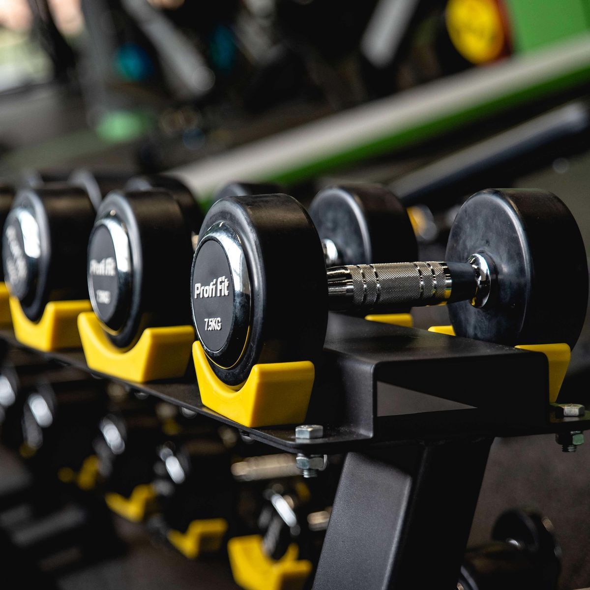 Гантельный ряд профессиональный (шаг 2,5 кг, 10 пар) PROFI-FIT 2,5-25 кг — изображение 2