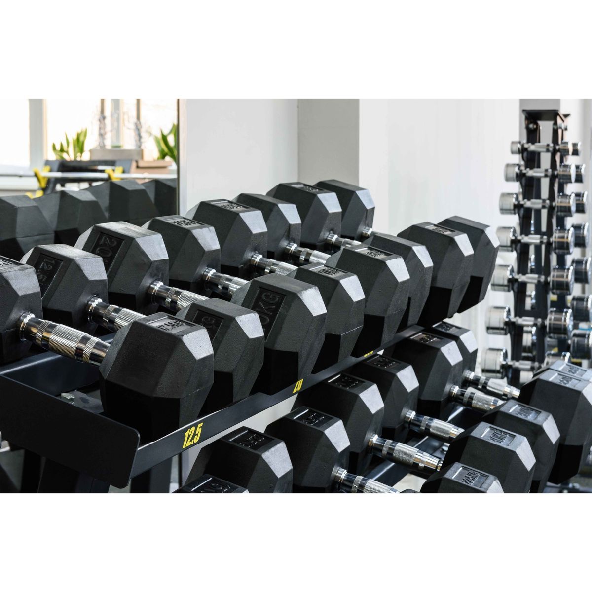 Гантель гексагональная обрезиненная PROFI-FIT 65 кг — изображение 3